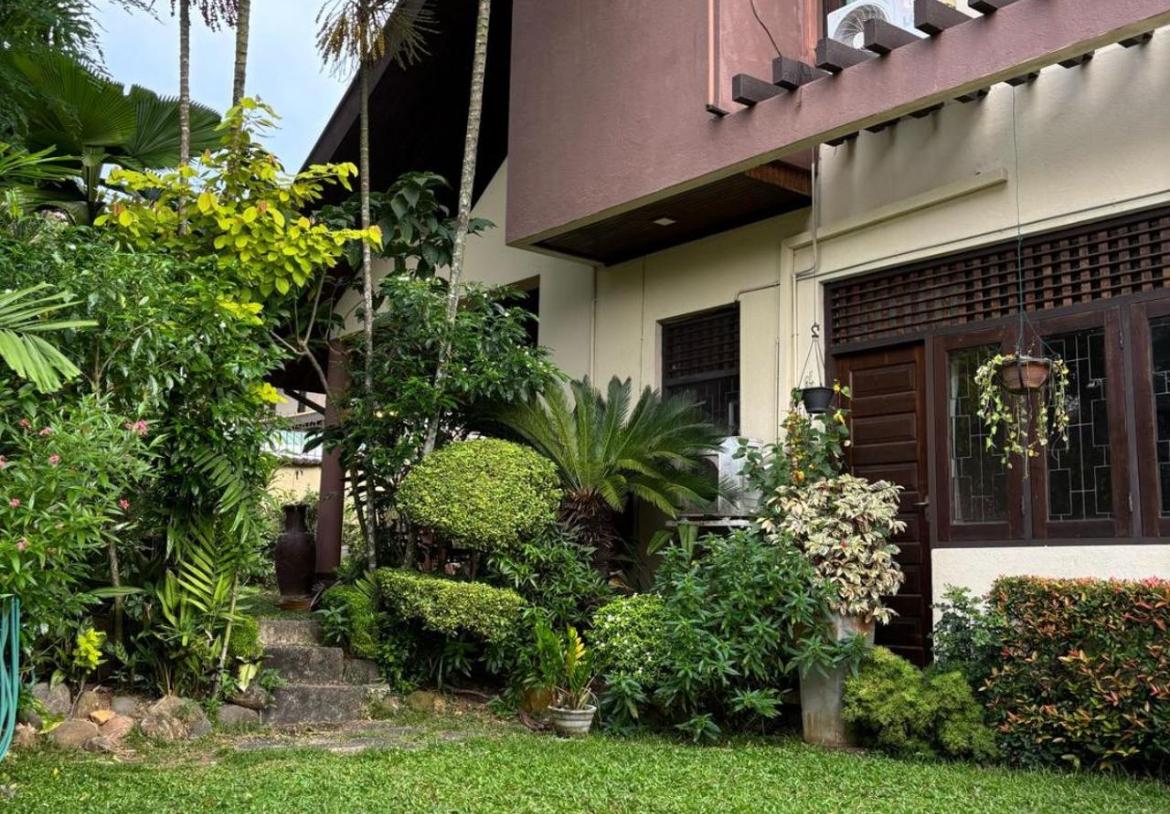 Enchanting Garden Pathways & Stone Features